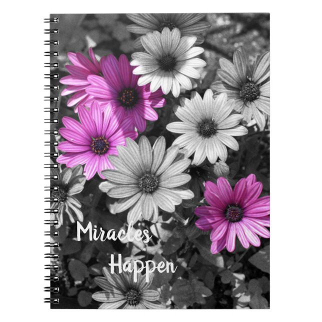 Miracles Happen African Daisy Flowers    Notebook (Front)