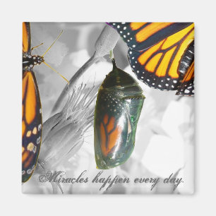 Miracles happen every day Magnet
