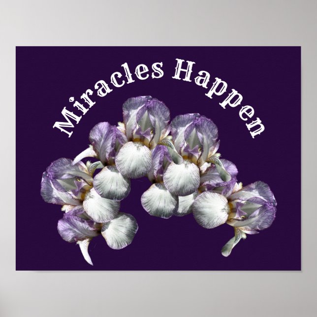 Miracles Happen Iris Flowers Inspirational Poster (Front)