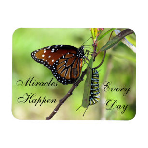 Miracles Happen Magnet