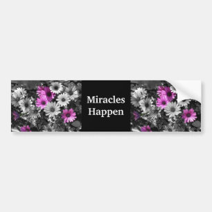 Miracles Happen Purple Daisies Bumper Sticker