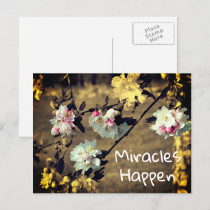 Miracles Happen Spring Blossoms Inspirational Post Postcard