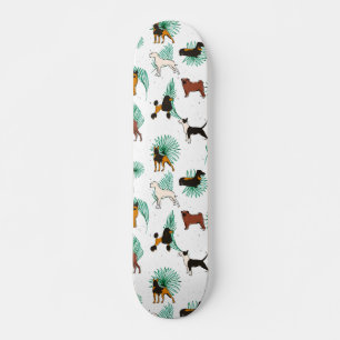 Miracles with paws skateboard
