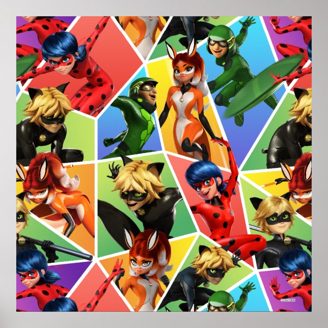 Miraculous Colourful Character Pattern Poster (Front)