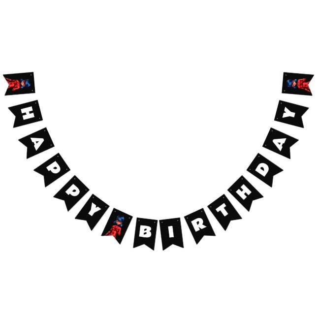 Miraculous Ladybug Birthday Bunting (All)