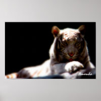 Mirage White Tiger Art