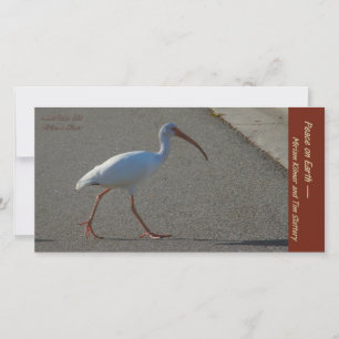 Miriam 2019 card only