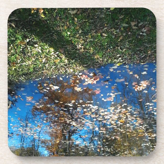 Miroir Mirror Autumn Coaster (Front)