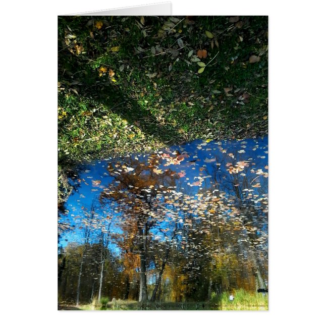 Miroir Mirror Autumn Greeting Card (Front)