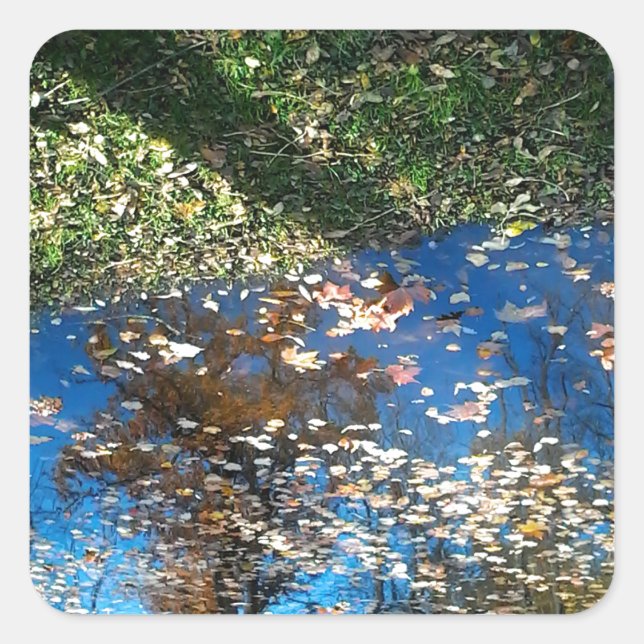 Miroir Mirror Autumn Thanksgiving Sticker (Front)