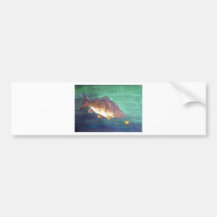 Mirror carp bumper sticker