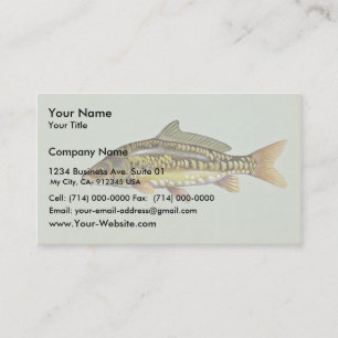 Mirror carp business card