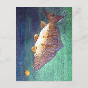 Mirror carp postcard