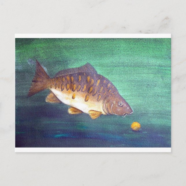 Mirror carp postcard (Front)