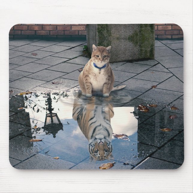 Mirror cat mouse mat (Front)