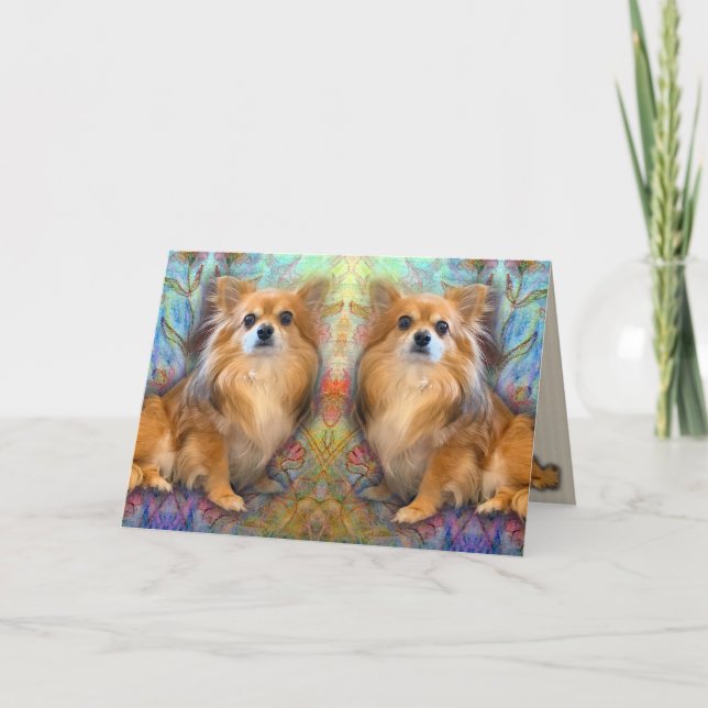 Mirror image of Long Hair Chihuahua birthday   Card (Front)
