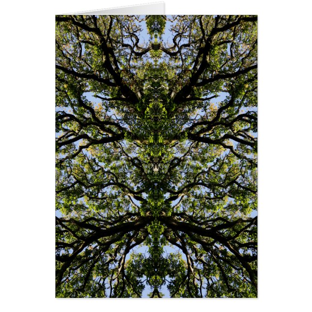 Mirror image trees (Front)