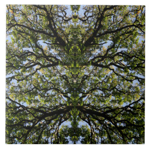 Mirror image trees tile