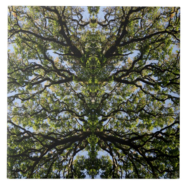 Mirror image trees tile (Front)