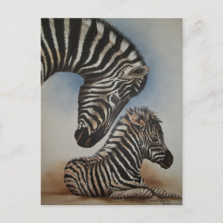 Mirror Image (zebra) Accessories Postcard
