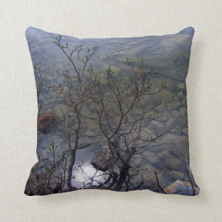 Mirror Lake 2 Pillow