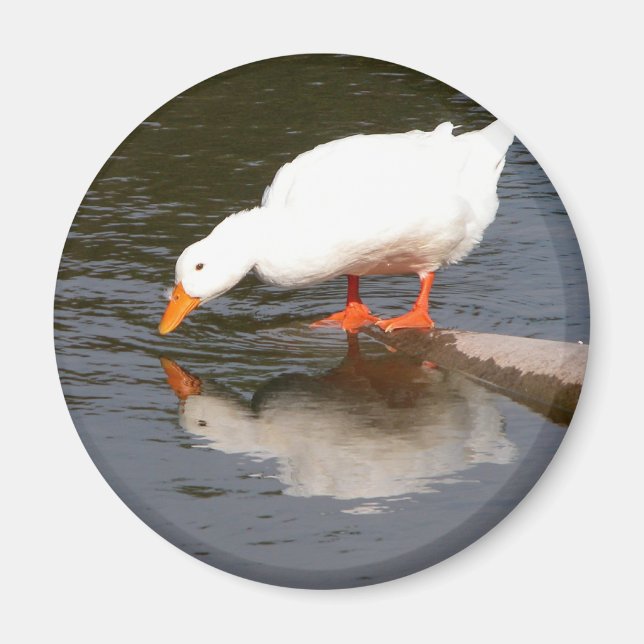 Mirror Mirror Magnet (Front)