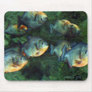 Mirrored Piranha Mouse Mat