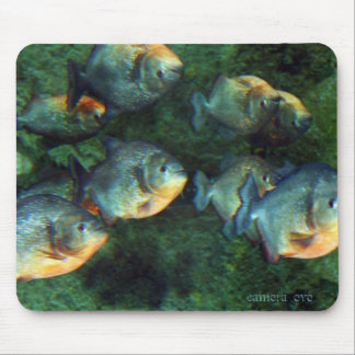 Mirrored Piranha Mouse Mat