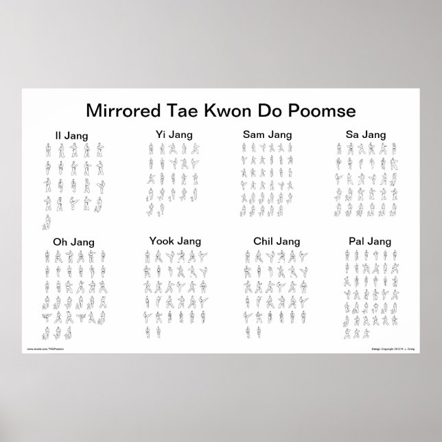 Mirrored Tae Kwon Do Poomse Poster (Front)