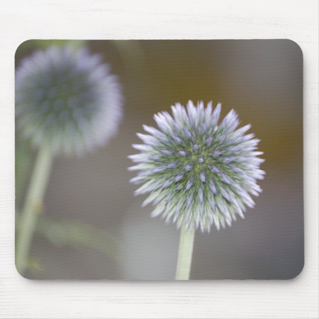 Mirrored Thistles Mousepad (Front)
