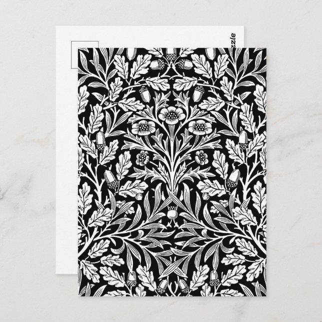 Mirrors's Acorns and Oak Leaves Black & White Postcard (Front/Back)
