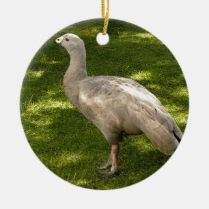 Miscellaneous - Cape Barren Goose  Shadows & Light Ceramic Tree Decoration