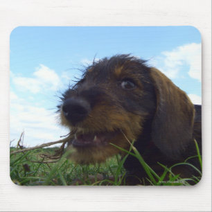 Mischevious Mouse Mat