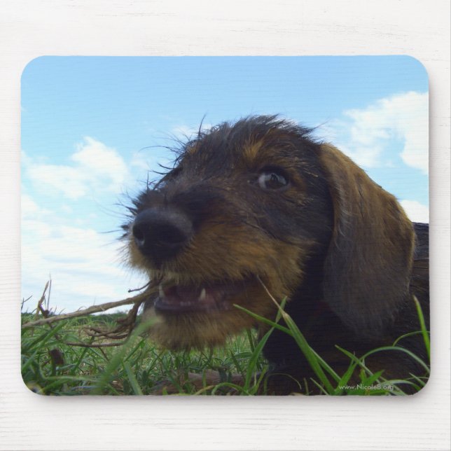 Mischevious Mouse Mat (Front)