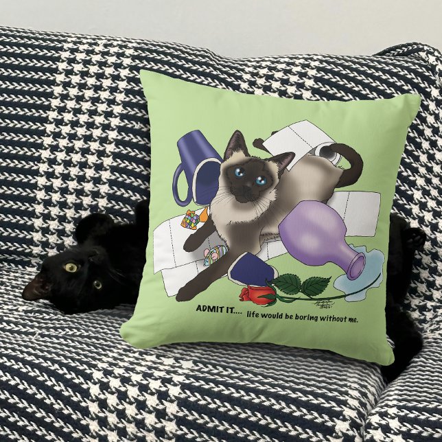 Mischief Cat Cushion (Creator Uploaded)