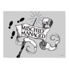 Mischief Managed