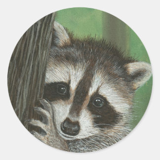 Mischief Racoon up a Tree sticker