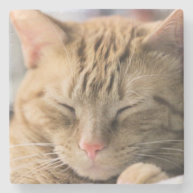 Mischievious dreaming stone coaster (Front)