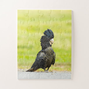 Mischievous Black Cockatoo Portrait Jigsaw Puzzle