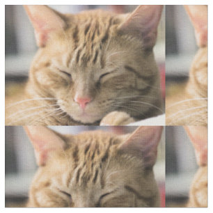 Mischievous dreaming fabric