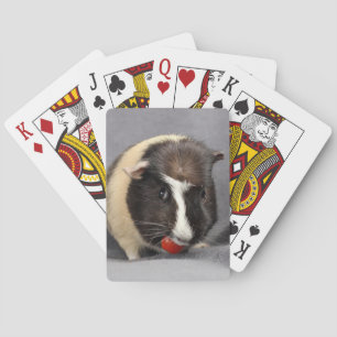 Mischievous Guinea Pig Playing Cards
