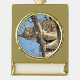Mischievous Lynx Gold Plated Banner Ornament