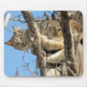 Mischievous Lynx Mouse Mat