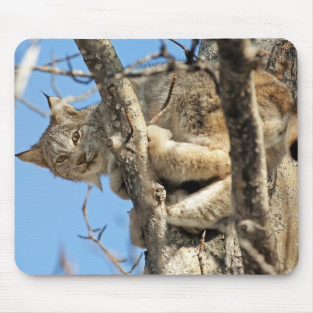 Mischievous Lynx Mouse Mat (Front)