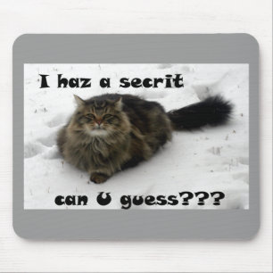 Mischievous Maine Coon in the snow Mouse Mat