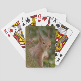 Mischievous Red Squirrel Playing Cards