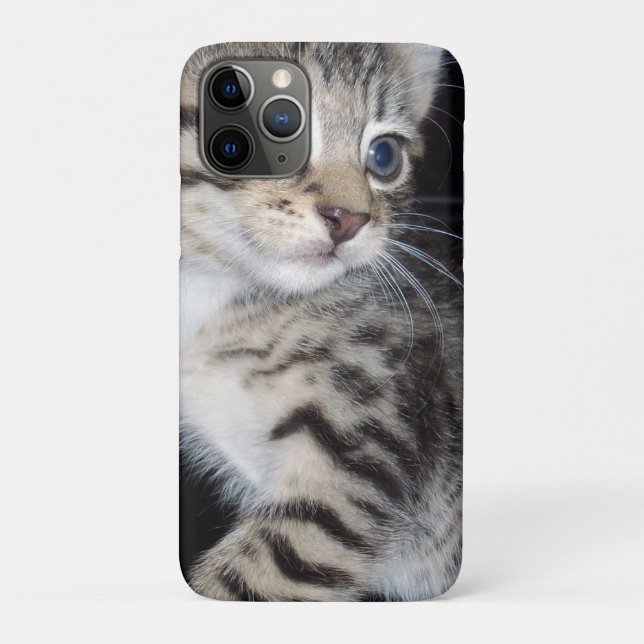 Mischievous Tabby Kitten,  Case-Mate iPhone Case (Back)