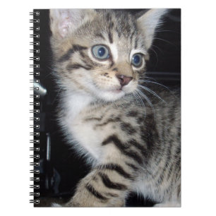 Mischievous Tabby Kitten, Notebook