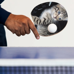 Mischievous Tabby Kitten, Ping Pong Paddle
