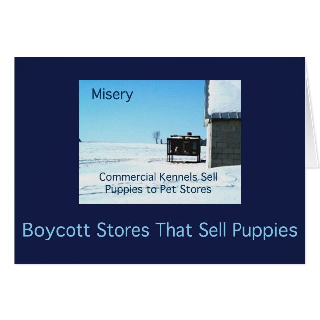 Misery Cards (Front Horizontal)